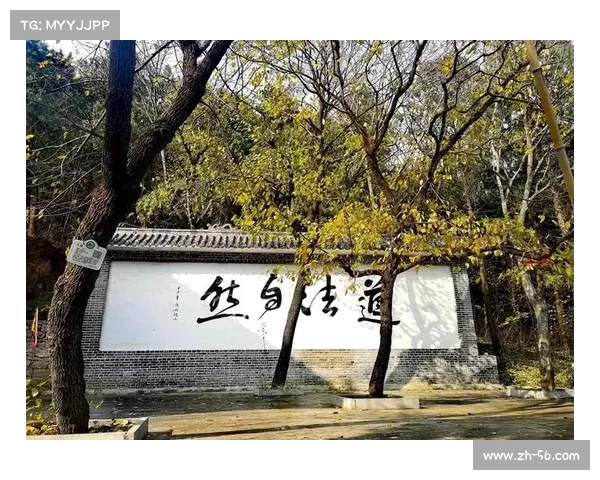桑戈尔:历史、文化与自然的交汇点 桑戈尔:历史、文化与自然的交汇点